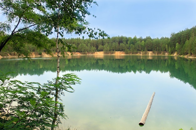 hermoso paisaje de verano con un pintoresco lago en el bosque de pinos