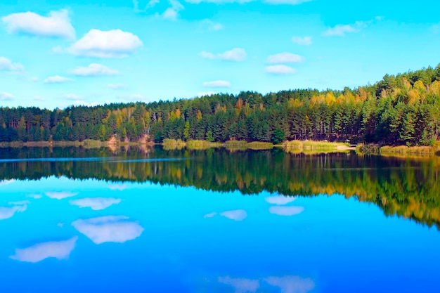 hermoso paisaje de verano con un pintoresco lago en el bosque