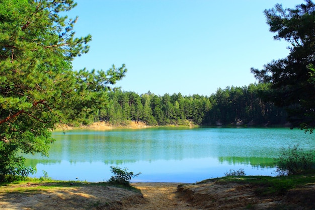 Hermoso paisaje de verano con un pintoresco lago en el bosque