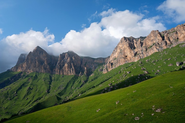 Hermoso paisaje de verano de prado verde en las montañas