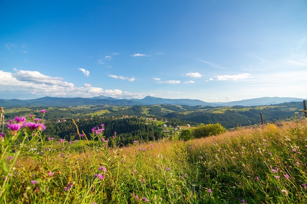 Hermoso paisaje de verano del pueblo entre las montañas de Karpaty.