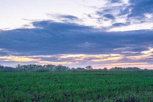 Hermoso paisaje de verano: puesta de sol, árboles, hierba verde fresca, bosques, campos, prados y cielo. Hermoso cielo rojo con densas nubes al atardecer. El comienzo del verano.