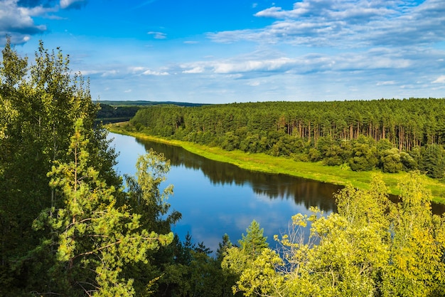 Hermoso paisaje de verano con río y bosque bajo un cielo azul