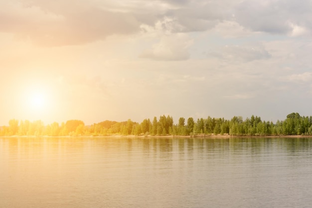 Hermoso paisaje de verano Río y bosque verde a la luz del sol