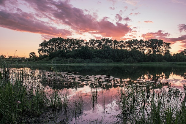 Hermoso paisaje de verano con el río en una puesta de sol