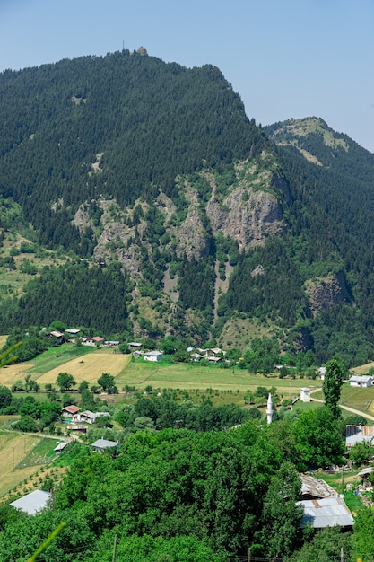 Hermoso paisaje de verano en Savsat, provincia de Artvin, Turquía