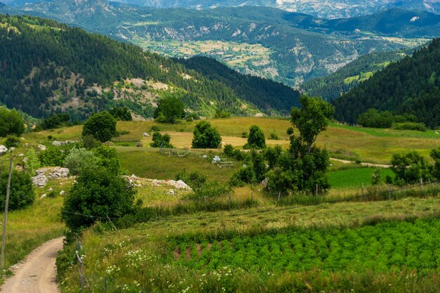 Hermoso paisaje de verano en Savsat, provincia de Artvin, Turquía