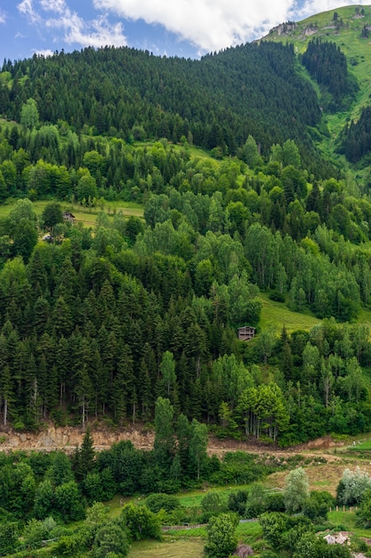 Hermoso paisaje de verano en Savsat, provincia de Artvin, Turquía