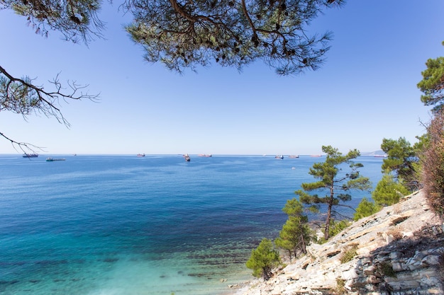 Hermoso paisaje de verano Vista del bosque y la costa del mar