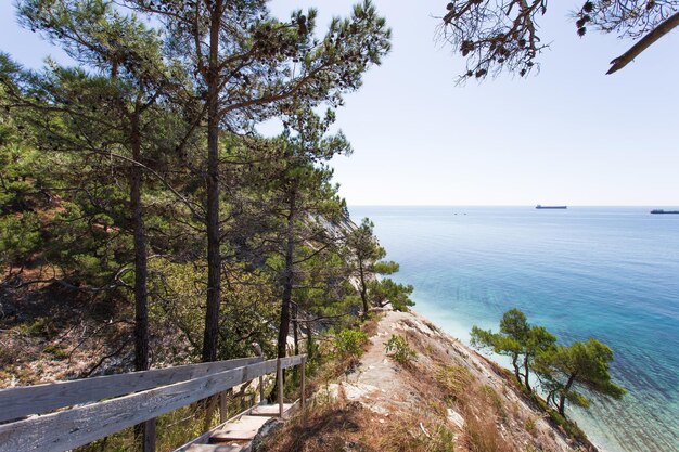 Hermoso paisaje de verano Vista de la playa salvaje y el bosque Gelendzhik Rusia Costa del Mar Negro