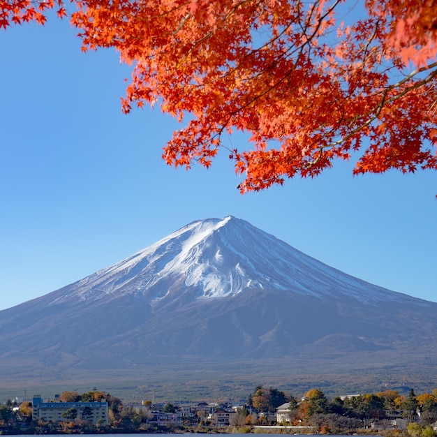 Hermoso paisaje con vista a la montaña Mtfuji con arce rojo en Japón
