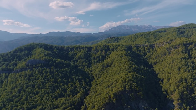 Hermoso paisaje Vista superior de verdes colinas y bosques Cielo azul y nubes Campo Fauna Vista aérea de drones