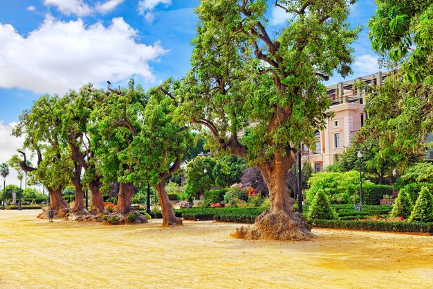 Hermoso paisaje de la vista urbana Barcelona Cataluña España