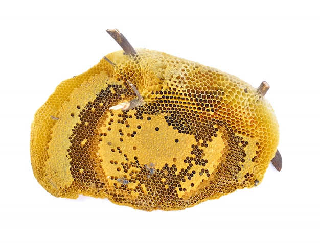 Hermoso panal amarillo con miel y abeja