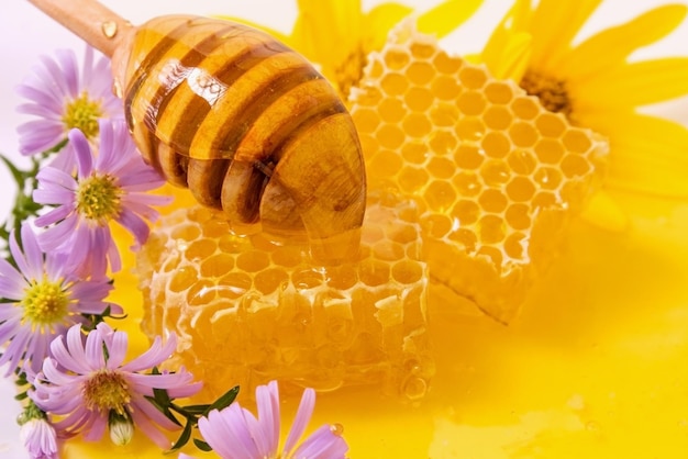 Foto hermoso panal con flores y cazo bodegón tiempo de otoño