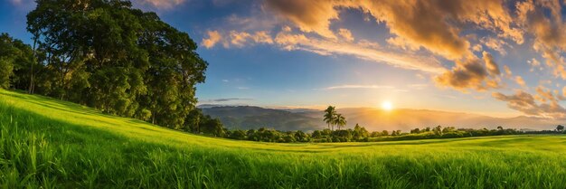 hermoso panorama de paisaje de verano