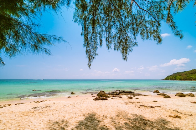 Hermoso paraíso tropical con playa y mar