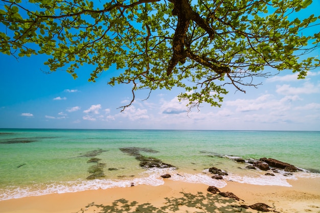 Hermoso paraíso tropical con playa y mar