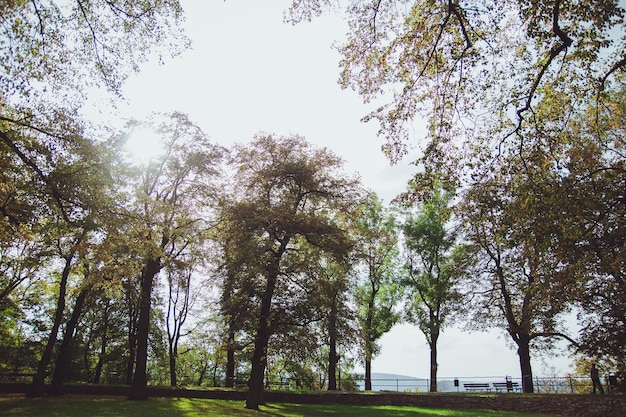 Hermoso parque en el castillo de la ciudad de Przemysl