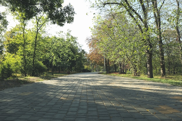 Hermoso parque de la ciudad en la brillante mañana soleada