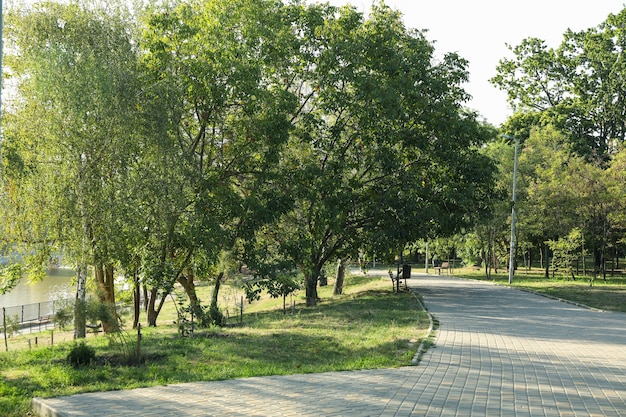 Hermoso parque de la ciudad en la brillante mañana soleada