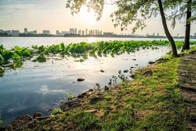 Hermoso parque de la ciudad con lago, árboles y montañas.