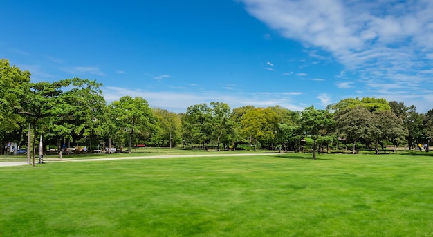 Foto hermoso parque con un gran césped y árboles de fondo