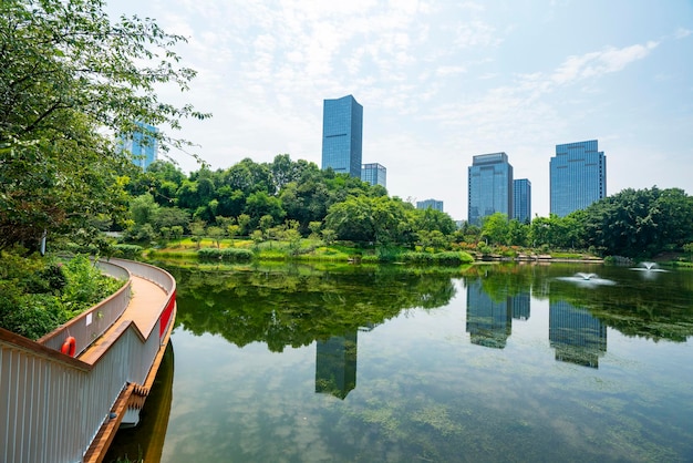 Hermoso parque de humedales y horizonte urbano en Chongqing China