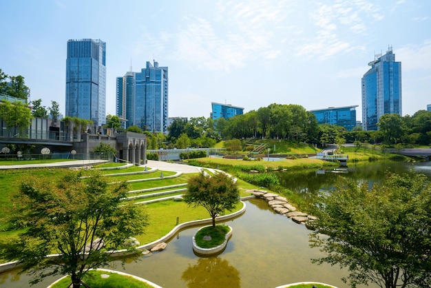 Hermoso parque de humedales y horizonte urbano en Chongqing China