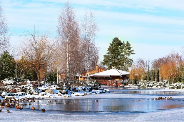 Hermoso parque con lago en día de invierno