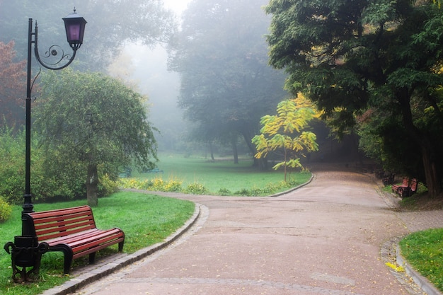 Hermoso parque en la niebla