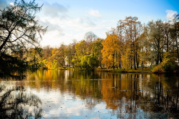 Hermoso parque otoñal con lago en un clima soleadoPaisaje otoñal escénico Composición de la naturalezafollaje colorido sobre el lago con hermosos bosques en color rojo y amarilloConcepto de naturaleza de temporada de otoño