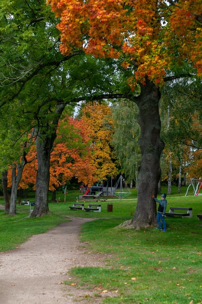 Hermoso parque en otoño. hojas amarillas en los arboles