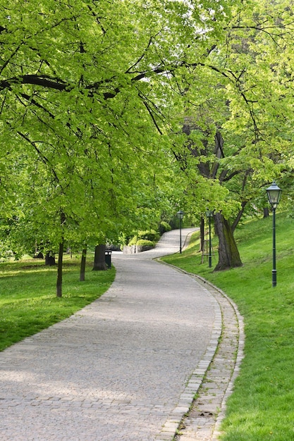 Hermoso parque de primavera verde El viaje naturaleza