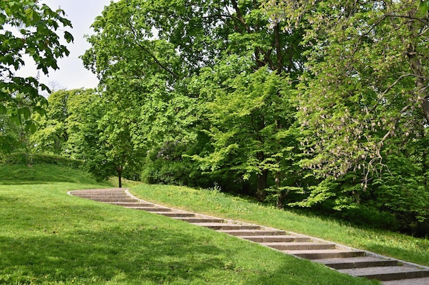 Hermoso parque de primavera verde El viaje naturaleza