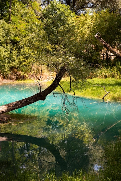 Hermoso parque verde en verano con un río azul