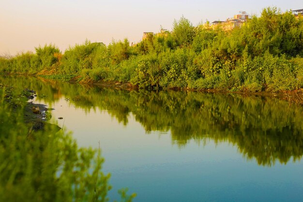 Hermoso parque verde con vista al lago Delhi India