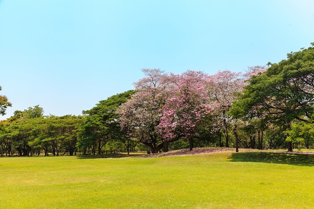 Hermoso parque