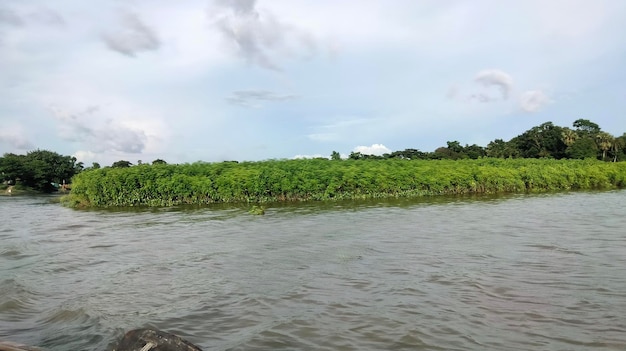 Hermoso paseo en barco por el río.