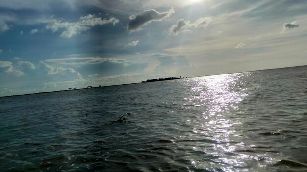 Hermoso paseo en barco por el río.