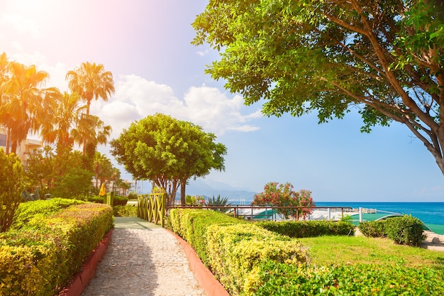 Hermoso paseo marítimo con árboles verdes en Kemer, Turquía. Paisaje de verano