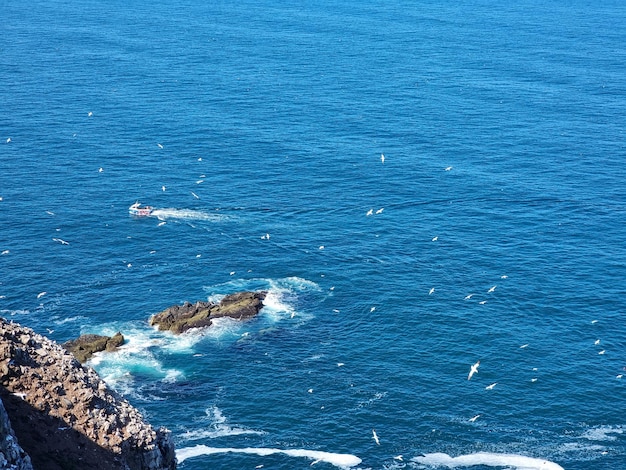 Un hermoso paseo de verano a lo largo de la costa en Banffshire en la cabeza de la tropa de RSPB Escocia