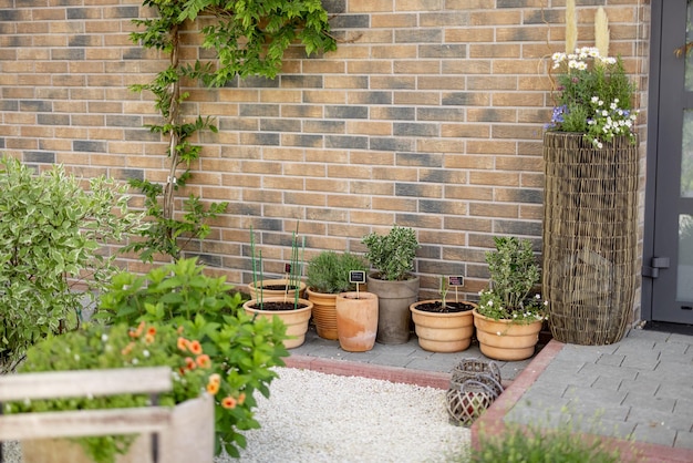 Hermoso patio con plantas verdes frente a la casa