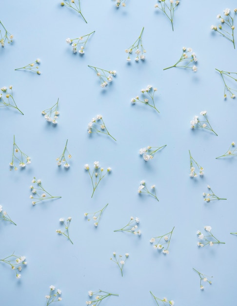 Hermoso patrón sobre un fondo azul con flores gypsophila