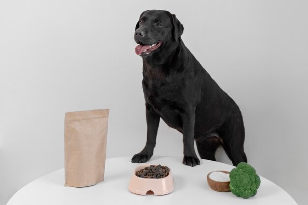 Foto hermoso perro con comida nutritiva