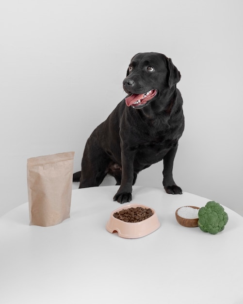 Foto hermoso perro con comida nutritiva