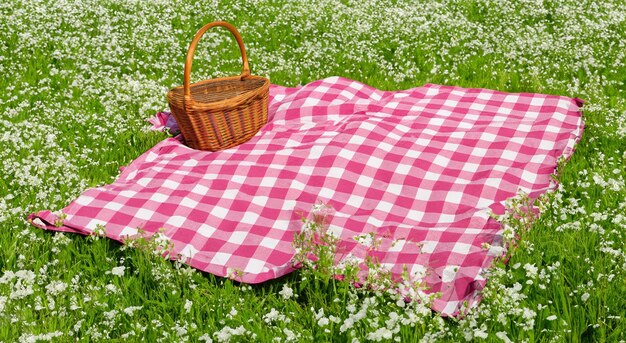 hermoso picnic con mantel y una canasta