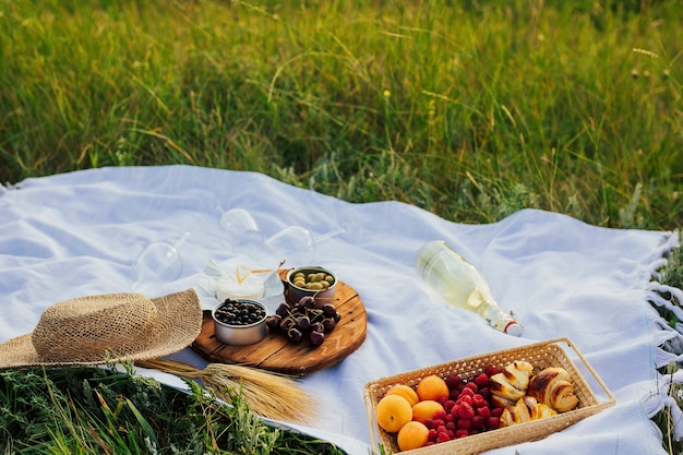 Hermoso picnic de verano en una colina verde con manta de algodón, sombrero de paja, vino blanco fresco y algunos albaricoques y ser