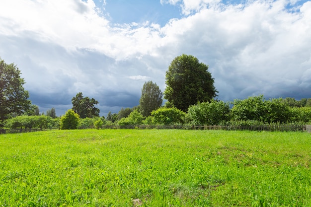 Hermoso prado verde antes de la lluvia.