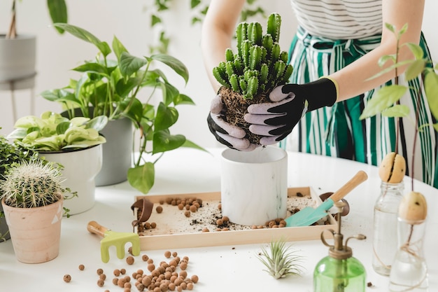 Hermoso proceso de jardinería doméstica Jardinero joven se ocupa de las plantas verdes en elegantes macetas de cerámica de mármol en la mesa de madera blanca Las plantas aman el tiempo de primavera Elegante interior con plantas